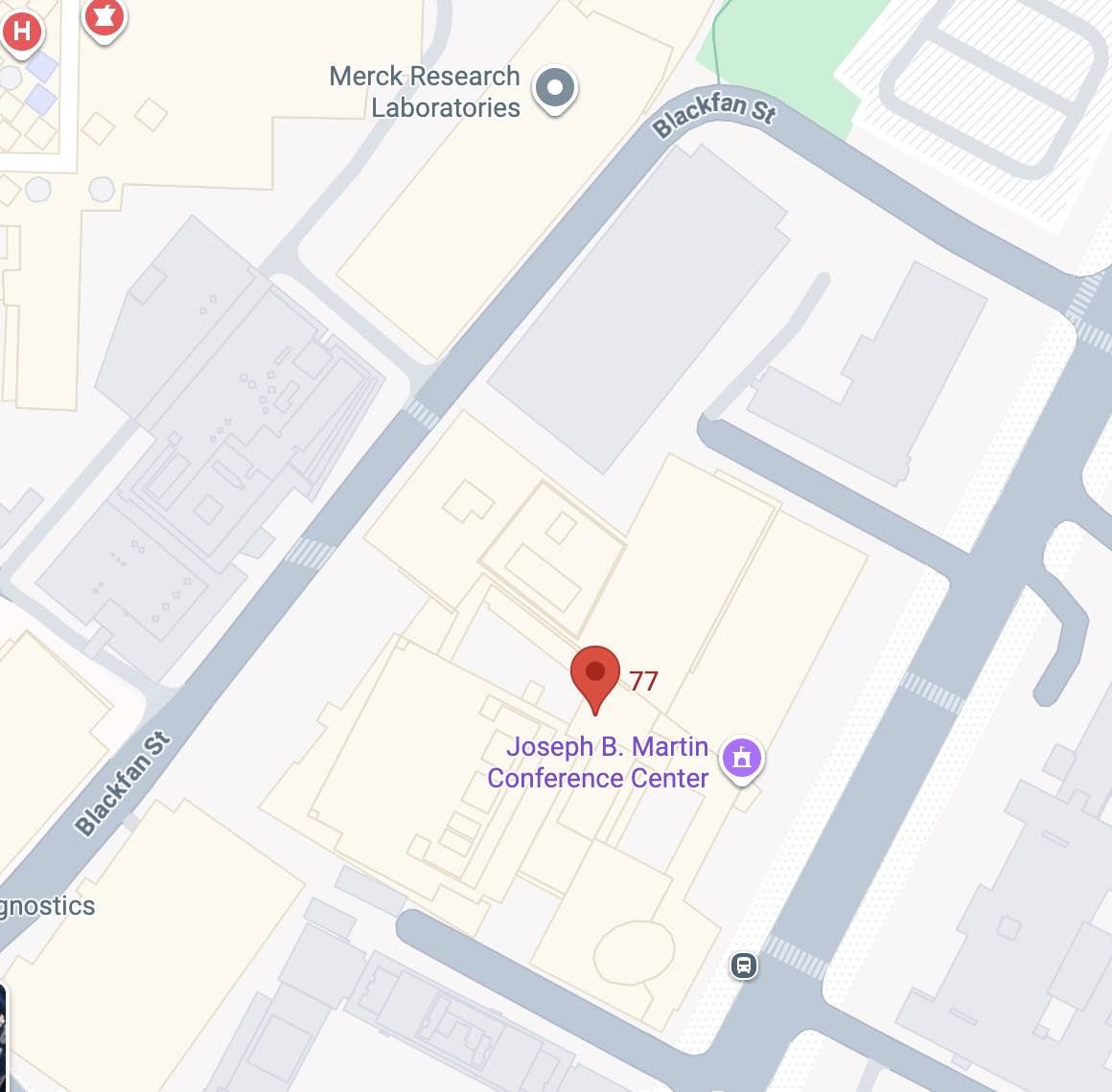 Conference Parking